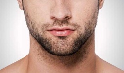 image of beard #3