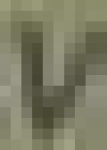 image of char
