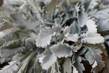 image of texture