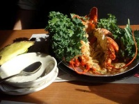 image of american_lobster