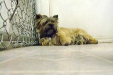 image of cairn