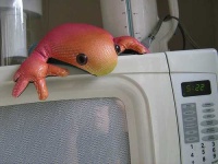 image of microwave