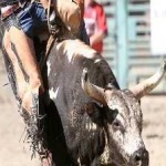 image of sport