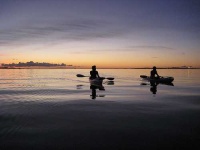 image of paddle