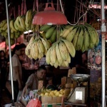 image of grocery_store