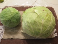 image of cabbage #13