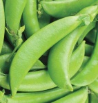 image of peas