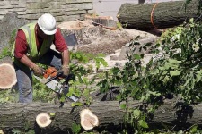 image of chain_saw