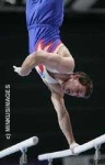 image of parallel_bars