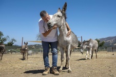 image of animal