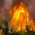 image of wildfire