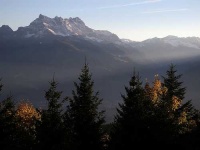 image of alp