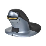 image of penguin