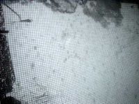 image of window_screen