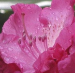 image of texture