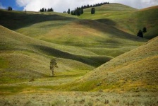 image of prairie