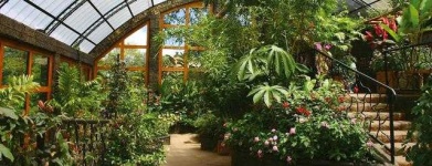 image of garden