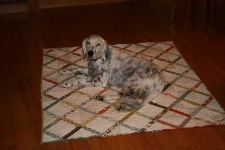 image of animal
