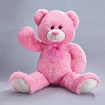 image of teddy_bear