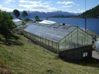 image of greenhouse
