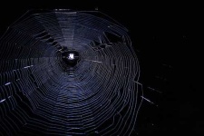 image of spider_web