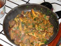 image of mushrooms