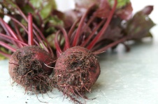 image of beetroot #34