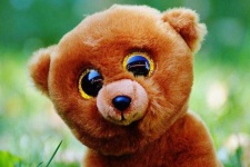 image of teddy_bear