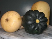 image of acorn_squash #1