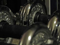 image of dumbbell #13