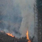 image of wildfire