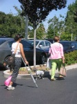 image of crutch