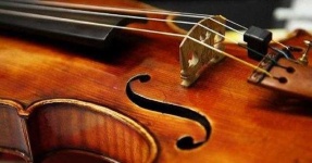 image of violin