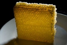 image of honeycomb