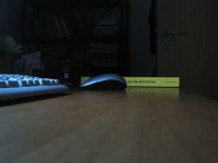 image of mouse