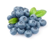 image of blueberry #18