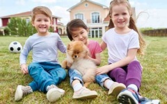 image of people_play_with_dog