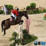 image of horse_jumping #24