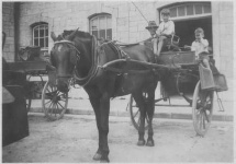 image of horse_cart #11