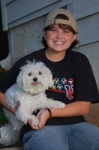 image of maltese_dog