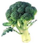 image of broccoli #10