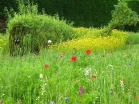image of prairie