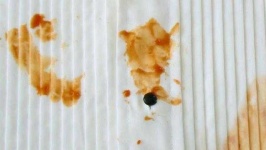 image of texture