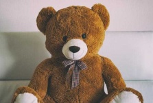 image of teddy_bear