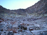 image of alp