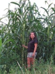 image of corn