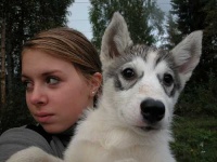 image of siberian_husky