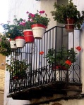 image of pot