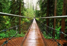 image of suspension_bridge