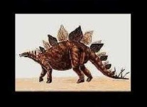 image of stegosaurus